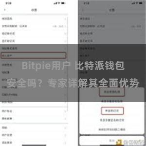 Bitpie用户 比特派钱包安全吗？专家详解其全面优势