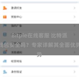 Bitpie在线客服 比特派钱包安全吗？专家详解其全面优势