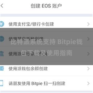 比特派系统支持 Bitpie钱包下载及使用指南