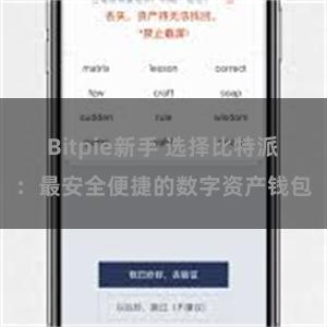 Bitpie新手 选择比特派：最安全便捷的数字资产钱包