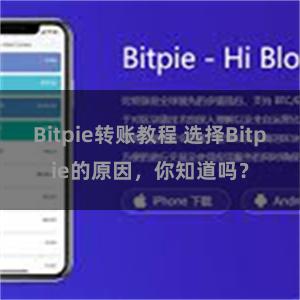 Bitpie转账教程 选择Bitpie的原因，你知道吗？