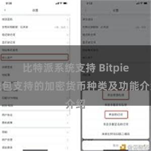 比特派系统支持 Bitpie钱包支持的加密货币种类及功能介绍