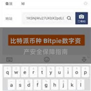 比特派币种 Bitpie数字资产安全保障指南