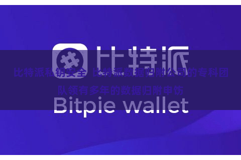 比特派私钥安全  比特派数据归附公司的专科团队领有多年的数据归附申饬