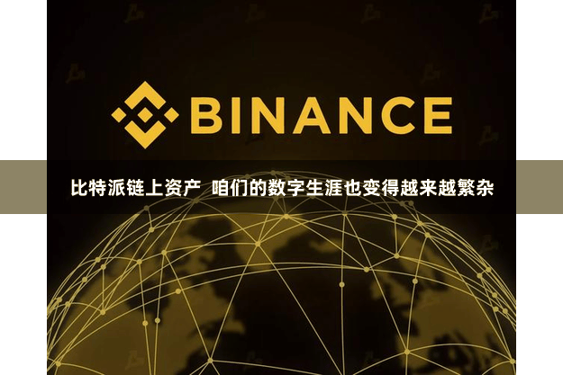 比特派链上资产  咱们的数字生涯也变得越来越繁杂