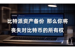 比特派资产备份  那么你将丧失对比特币的所有权