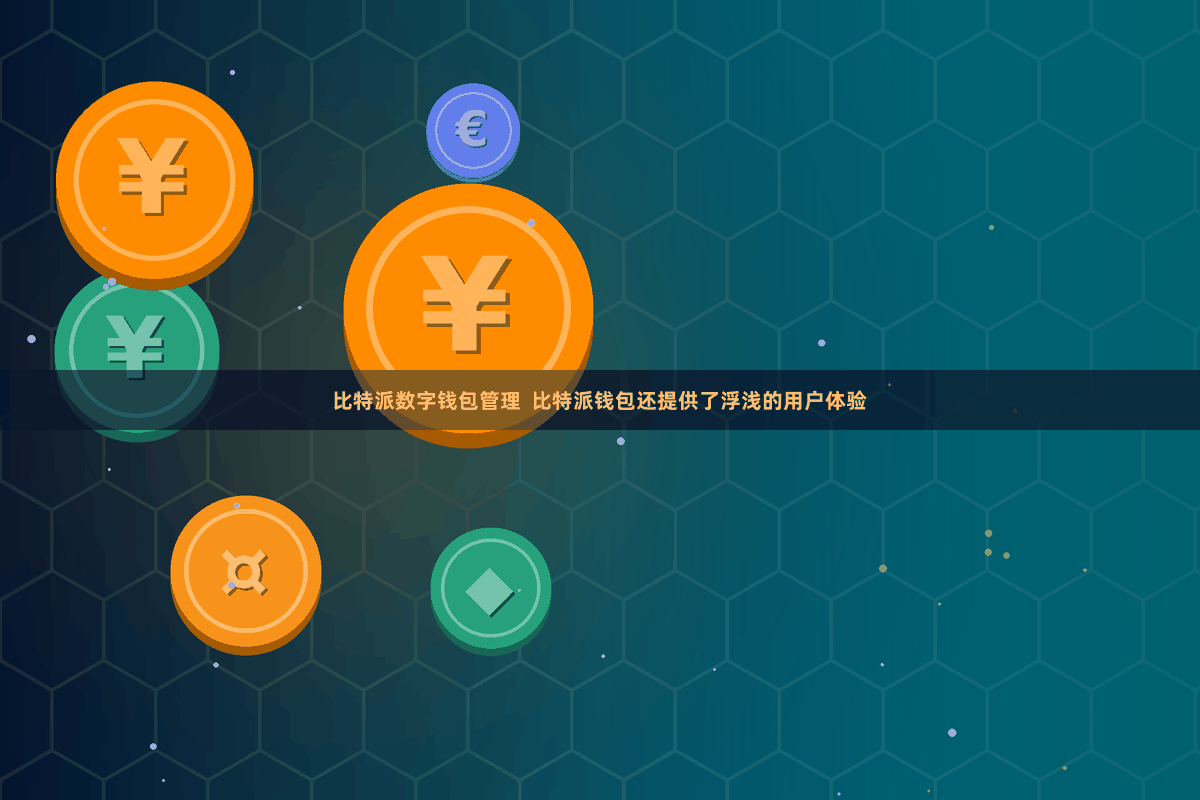 比特派数字钱包管理  比特派钱包还提供了浮浅的用户体验